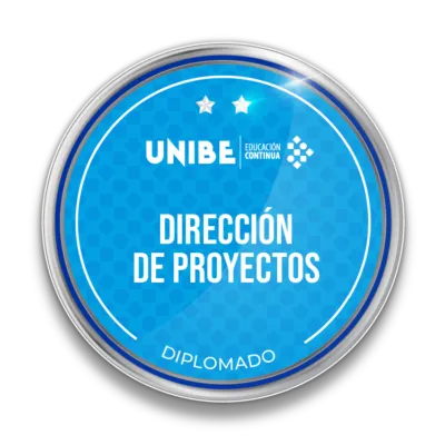 direccion de proyectos